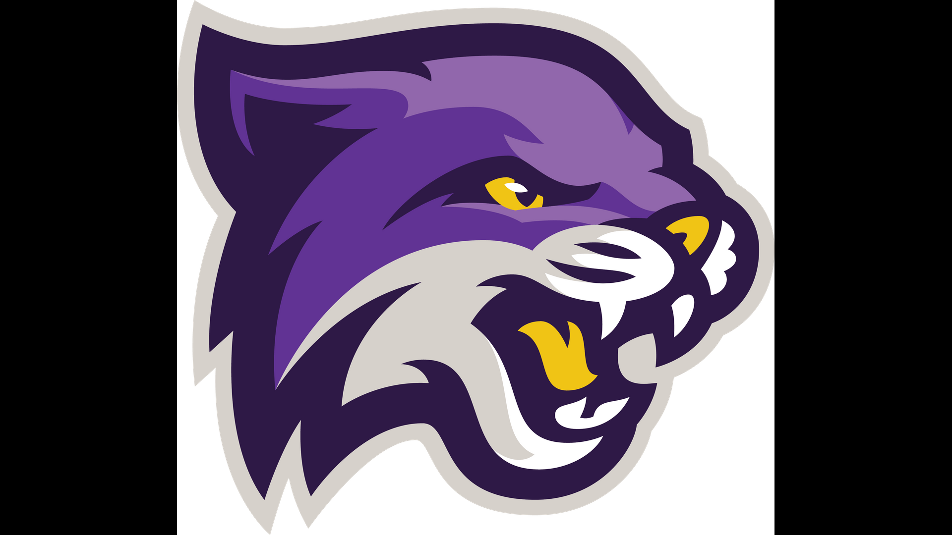 Student -Athletes Excel in Competition & in the Classroom