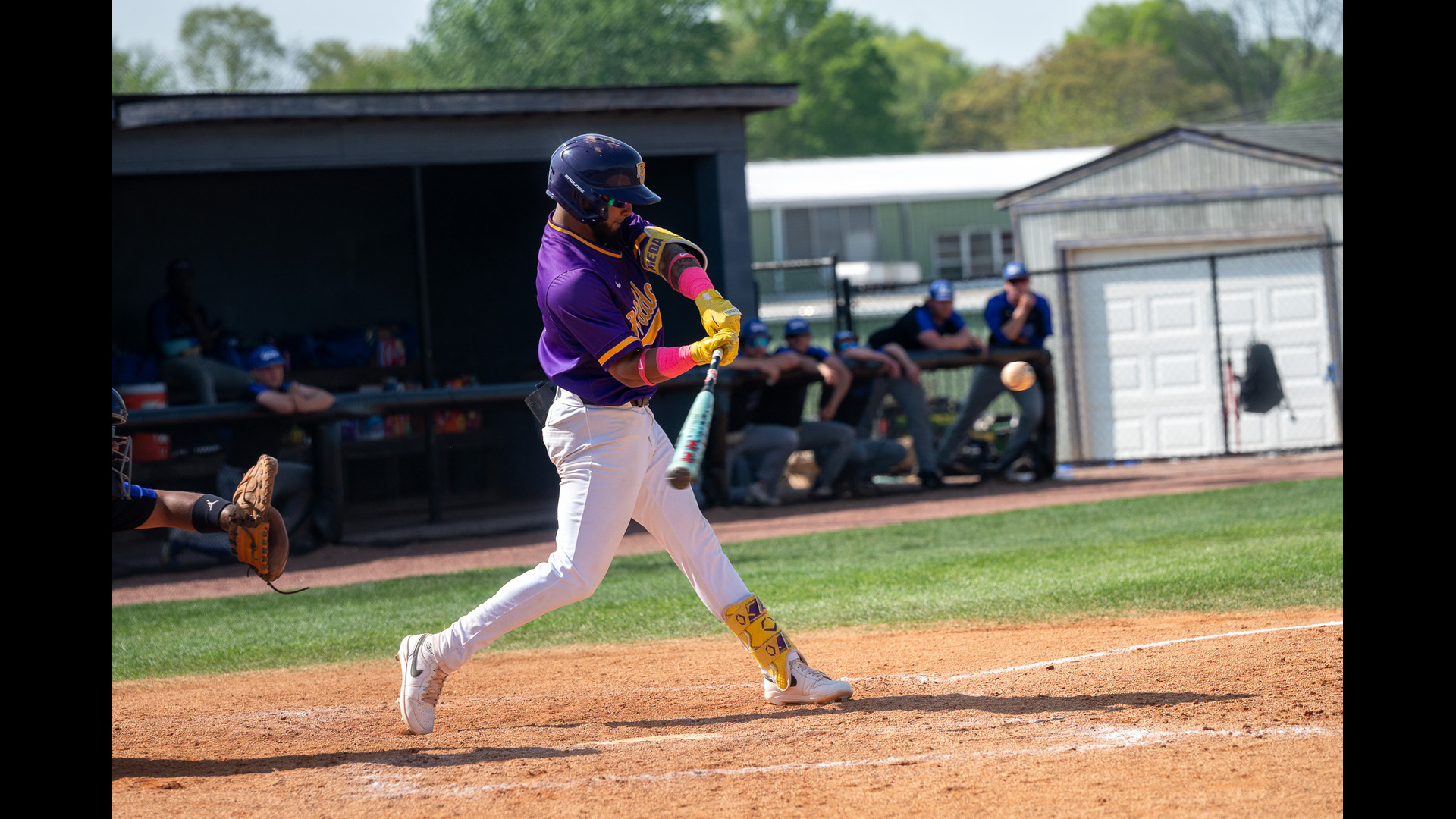 Bat Cats Sweep Blue Raiders