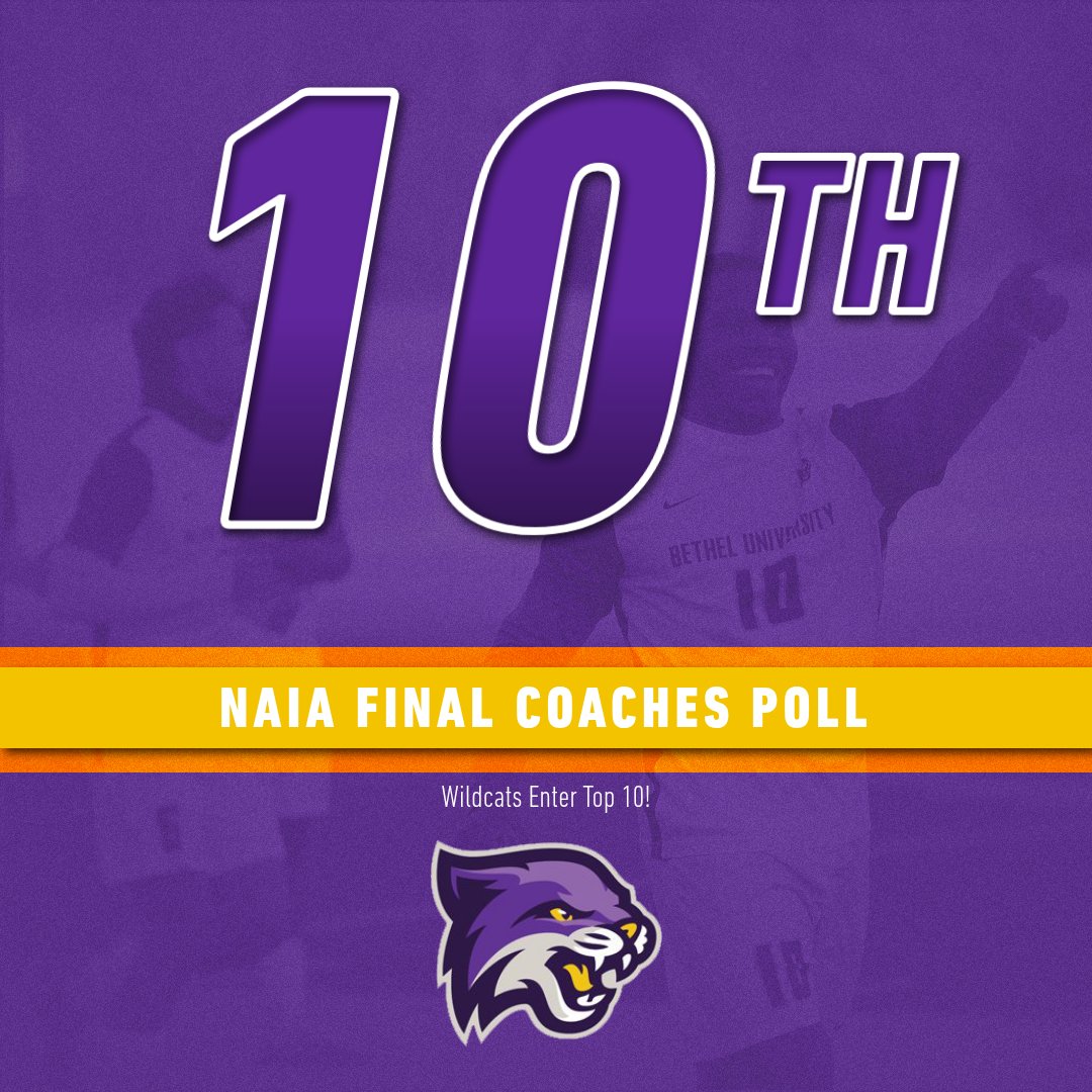 Cats Crack Top 10 in NAIA Men's Soccer Netting Professionals Top 25 Coaches' Poll
